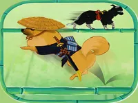 Samurai  image